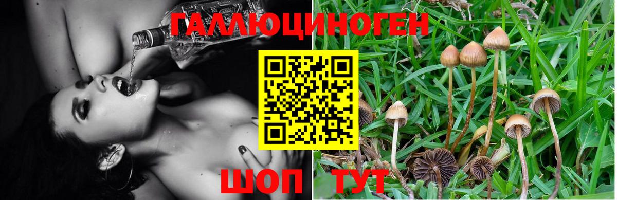 Галлюциногенные грибы мухоморы  Вход с VPN  Елабуга 